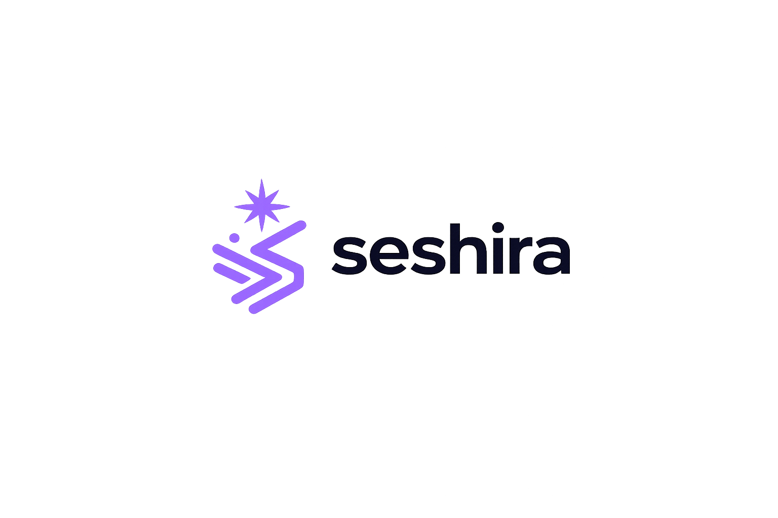 Seshira infrastructure visual